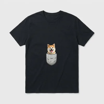 Akita Inu Ken Japanischer T-Shirt – Klassisches T-Shirt in Schwarz