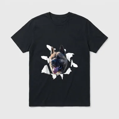 American Akita American Akita T-Shirt 0059 – Klassisches T-Shirt in Schwarz