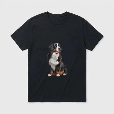 Berner Sennenhund Hund Berner T-Shirt 0072 – Klassisches T-Shirt in Schwarz