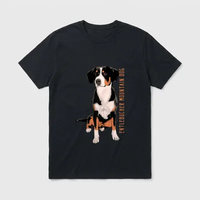 Entlebucher Sennenhund Hundebesitzer Hundefan T-Shirt – Klassisches T-Shirt in Schwarz