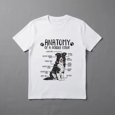 Lustiges Border Collie Hundehalter T-Shirt – Klassisches T-Shirt in Schwarz