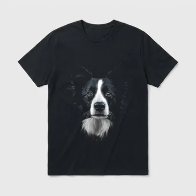 Border Collie Hundemotiv Haustier T-Shirt – Klassisches T-Shirt in Schwarz