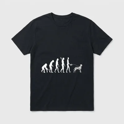 Dalmatiner Gassi Hundebesitzer Evolution T-Shirt – Klassisches T-Shirt in Schwarz