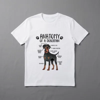 Doberman Pinscher T-Shirt – Klassisches T-Shirt in Schwarz