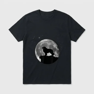 Pyrenäenberghund Hunde T-Shirt – Hundessorientierung vor Vollmond und Sternenfeld – Klassisches T-Shirt in Schwarz
