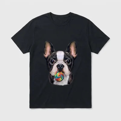 Französische Bulldogge lecken Regenbogen-Lutscher T-Shirt – Klassisches T-Shirt in Schwarz