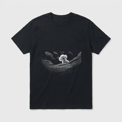 EIN kleines Lamm T-Shirt – Weißer flauschiger Hund auf Holzstamm mit Text über Serienhund – Klassisches T-Shirt in Schwarz