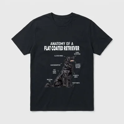Anatomie eines Flat Coated T-Shirt – Klassisches T-Shirt in Schwarz