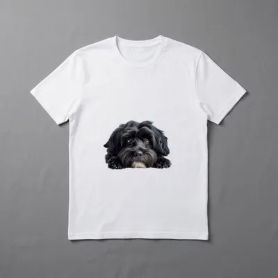 Fauler Havaneser T-Shirt – Klassisches T-Shirt in Schwarz