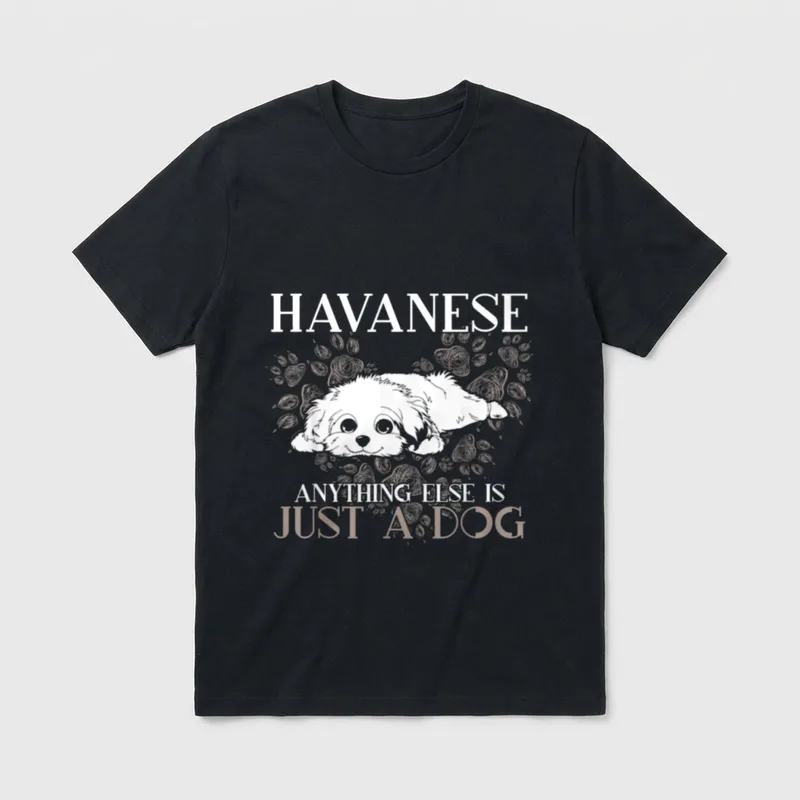 Havaneser alles andere ist T-Shirt – Klassisches T-Shirt in Schwarz