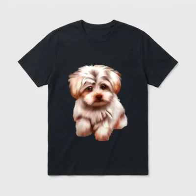 Bolonka Hund Haustier Havaneser, Malteser & Co. T-Shirt – Klassisches T-Shirt in Schwarz