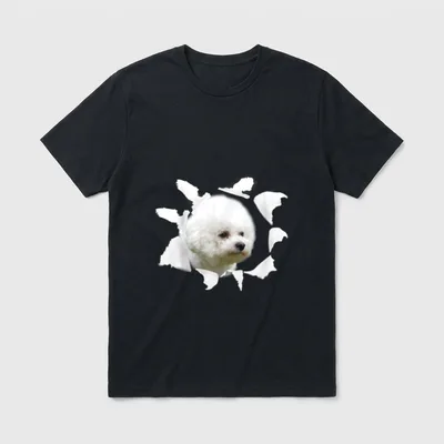 Bichon Frise Bichon Frise Havaneser, Malteser & Co. T-Shirt – Klassisches T-Shirt in Schwarz