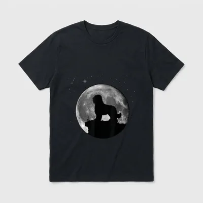 Briard Hunde T-Shirt 0023 – Hundesilhouette vor einem großen Vollmond mit Sternenhimmel – Klassisches T-Shirt in Schwarz