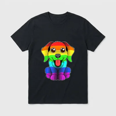 LGBT Regenbogen Gay Pride T-Shirt – Klassisches T-Shirt in Schwarz
