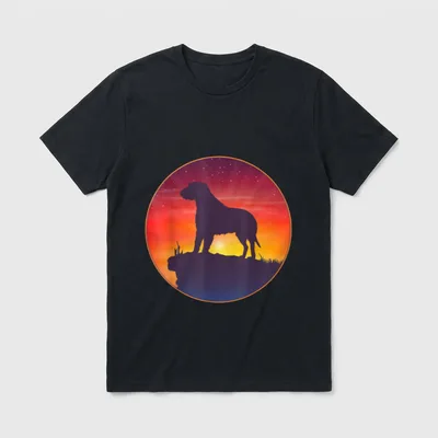 Irischer Wolfshund Sunset T-Shirt – Klassisches T-Shirt in Schwarz