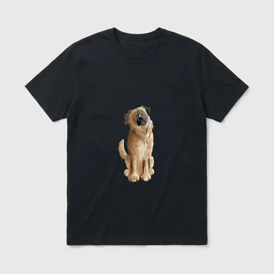 Lustige Germanischer Bärenhund I T-Shirt – Klassisches T-Shirt in Schwarz