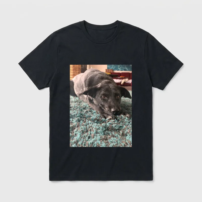 Hunde T-Shirt 1158 – Schwarzer Hund liegt auf türkisfarbenem Flanellteppich – Klassisches T-Shirt in Schwarz