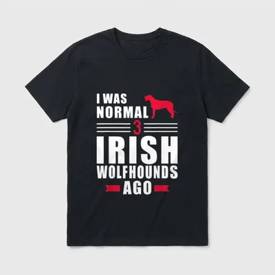 Irischer Wolfshund I was T-Shirt – Klassisches T-Shirt in Schwarz