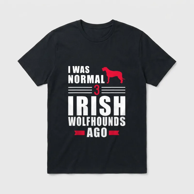 Irischer Wolfshund I was T-Shirt – Klassisches T-Shirt in Schwarz