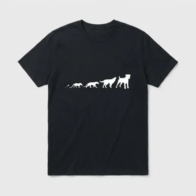 Parson Russell Terrier Hunde Evolution T-Shirt – Klassisches T-Shirt in Schwarz