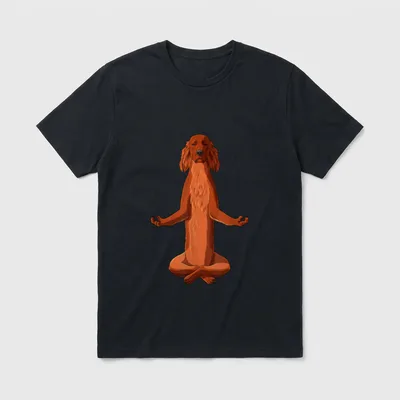 Yoga Hund Irish Red T-Shirt – Klassisches T-Shirt in Schwarz