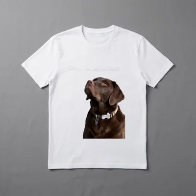 Labrador Retriever Shirt – Klassisches T-Shirt in Schwarz