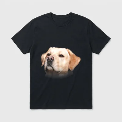 Gelber Labrador Apportierhund T-Shirt – Klassisches T-Shirt in Schwarz