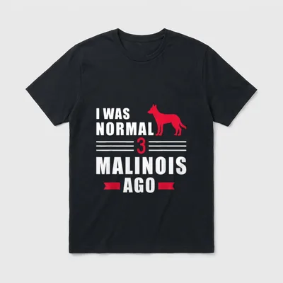 I was normal three T-Shirt – Klassisches T-Shirt in Schwarz