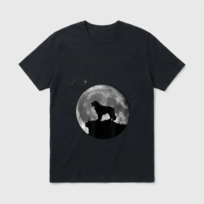 Landseer Hunde T-Shirt 0130 – Hundesilhouette vor detailreichem Vollmond und Sternenfeld – Klassisches T-Shirt in Schwarz