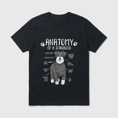 Standard Schnauzer Riesenschnauzer Hund T-Shirt – Klassisches T-Shirt in Schwarz