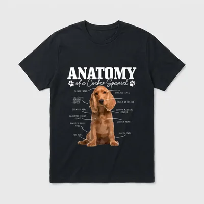Cocker Spaniel Anatomie Lustig T-Shirt – Klassisches T-Shirt in Schwarz