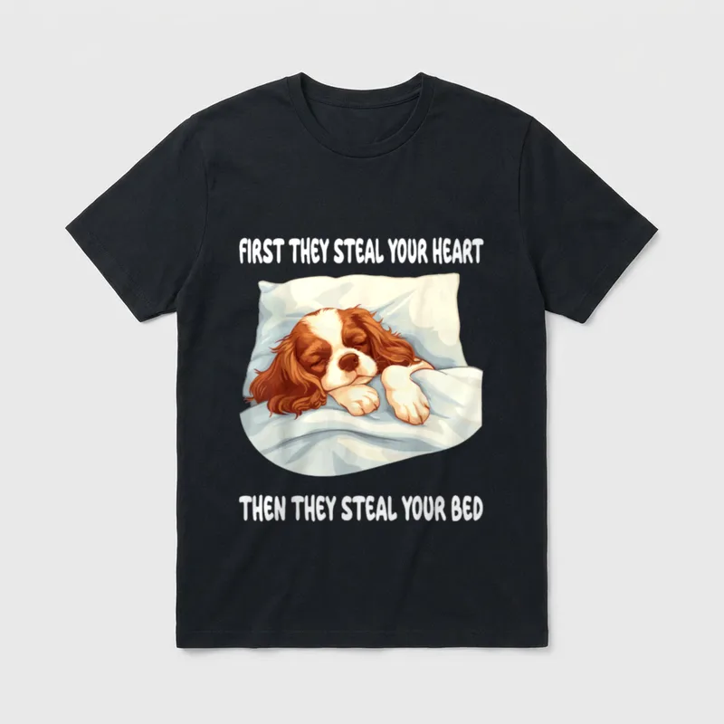 Cavalier King Charles Spaniel Schlafpyjama T-Shirt – Klassisches T-Shirt in Schwarz