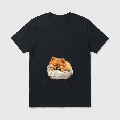 Hundebesitzer Langschläfer Lustig Pomeranian T-Shirt – Klassisches T-Shirt in Schwarz