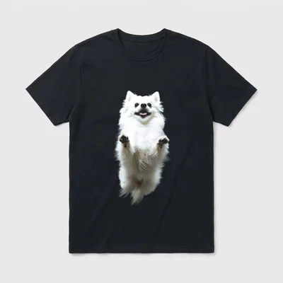 Zwergspitz-Hundemotiv Haustier-Illustration T-Shirt – Klassisches T-Shirt in Schwarz