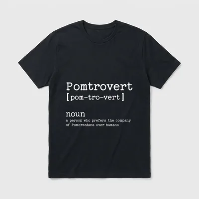 Funny Pomeranian Dog T-Shirt – Wortspiel Pomtrovert Definition auf grauem Hintergrund – Klassisches T-Shirt in Schwarz