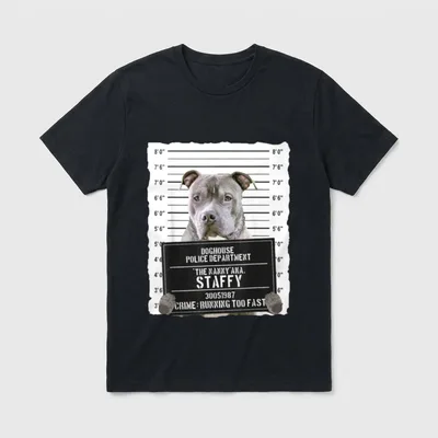 Staffordshire Bullterrier mit Halsband T-Shirt – Klassisches T-Shirt in Schwarz