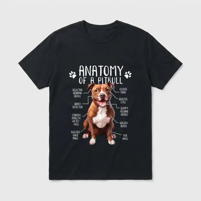 Pitbull Anatomie American Pit T-Shirt – Klassisches T-Shirt in Schwarz