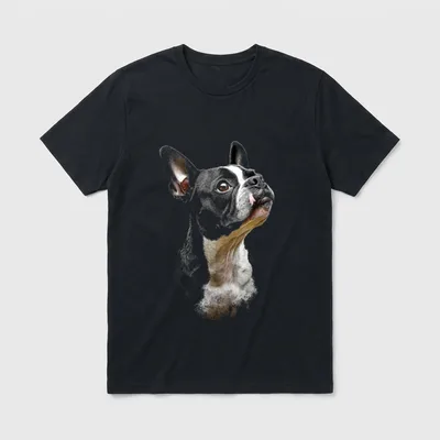 Boston Terrier Hund Grafik T-Shirt – Klassisches T-Shirt in Schwarz