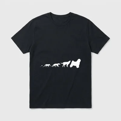 Tibet Terrier Hunde Evolution T-Shirt – Klassisches T-Shirt in Schwarz