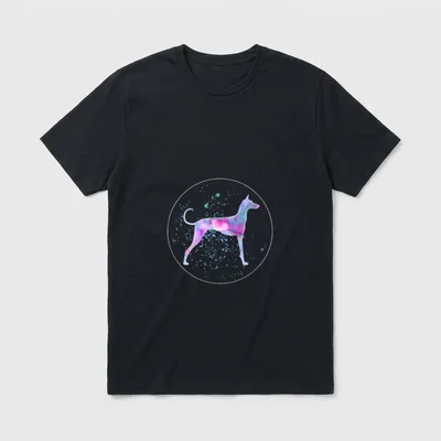 Podenco Ibicenco T-Shirt – Klassisches T-Shirt in Schwarz
