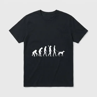 Gassi Evolution Italienischer Windhund T-Shirt – Klassisches T-Shirt in Schwarz